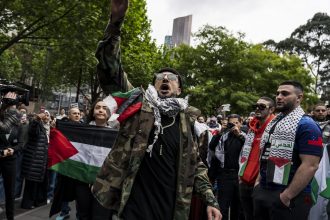 53263763427 4ec7c19e61 b