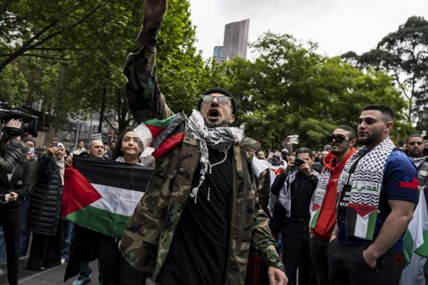 53263763427 4ec7c19e61 b