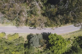 pexels photo 10052858