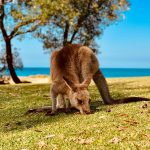 pexels photo 8858270