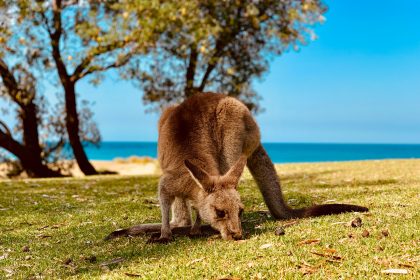 pexels photo 8858270