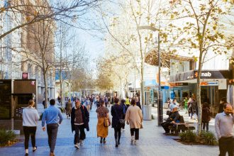 pexels tibor janas 512731642 16386252