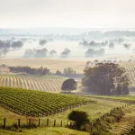 AustralianVineyards