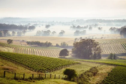 AustralianVineyards